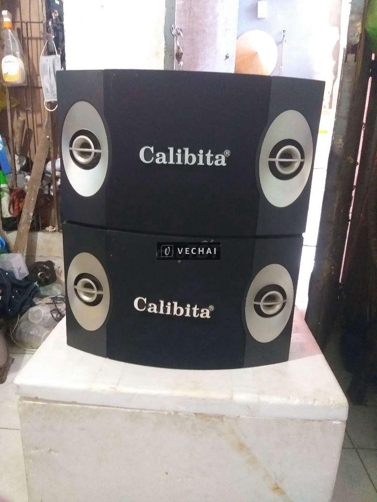 Cặp loa CALIBITA