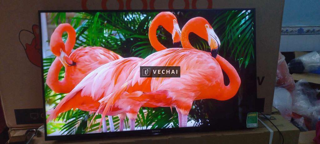 Android Tivi Sony 43inch FHD giọng nói, mẫu 2016