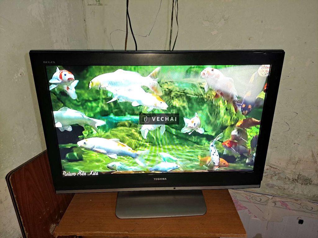 Tivi LCD 37 inch Toshiba y như hình chụp