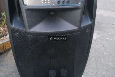 Loa kéo bass 4 tấc