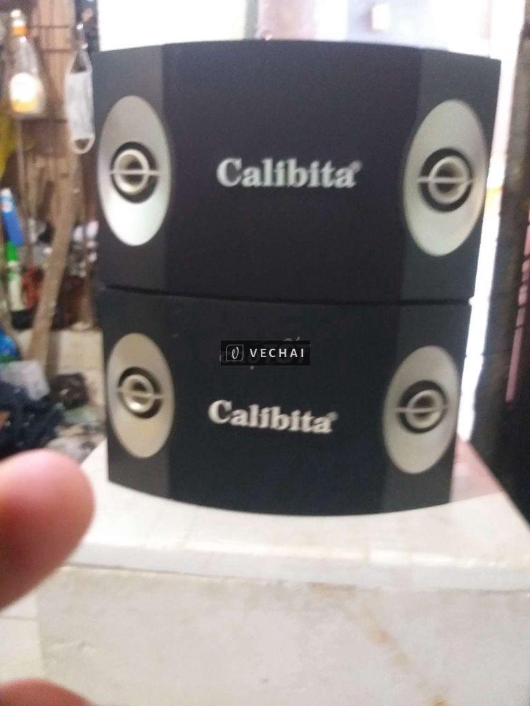 Cặp loa CALIBITA