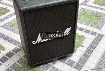 Loa DIY Marshall