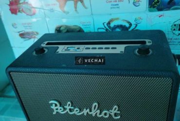 Loa bluetooth peterhot a105