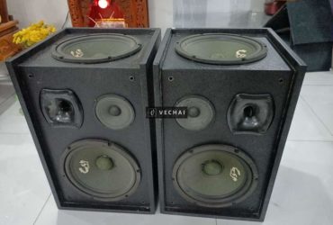 Loa mỹ 4 bass 25