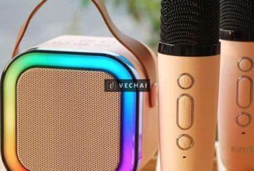 Loa bluetooth kèm mic karaoke mini