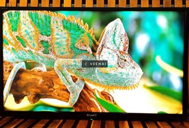 TIVI SONY 32″ LED HÌNH ẢNH ĐẸP + TIVI BOX