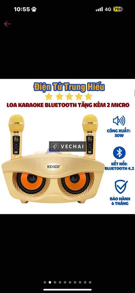 Loa bluetood SDRS 360 plus