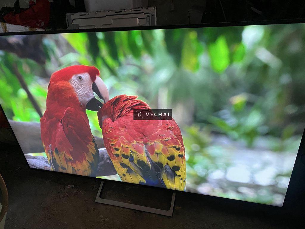 Tivi sony 75×8500 to đùng xem đá banh quá đẹp