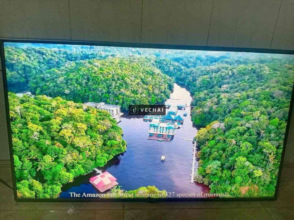 tivi susung 50inch 4k giá rẻ