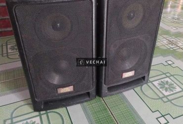 Thanh lý cặp loa của Nhật tay loa lớn bass 13