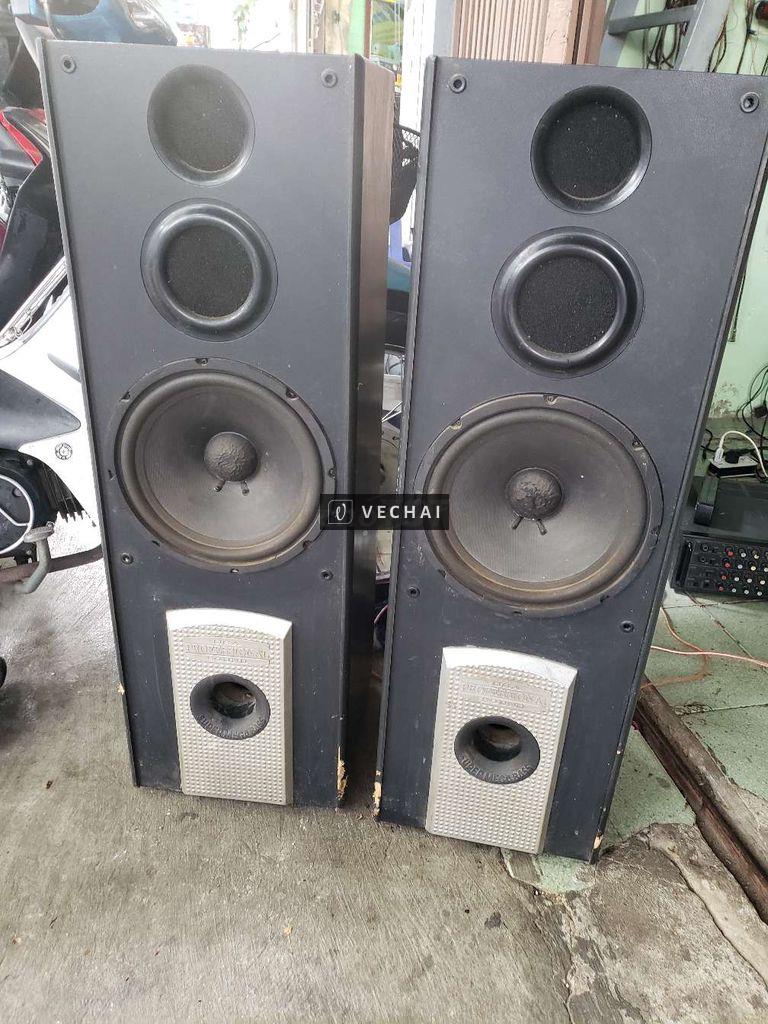 Cặp loa bass 25 Cty