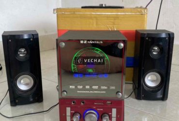 Loa vi tính + loa bluetooth ( tự chế)