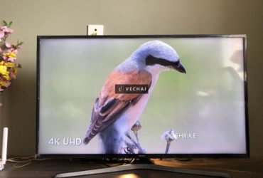 Smart Tivi Samsung 43inch phân giải 4K Chân Thực