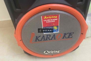 loa Bluetooth karaoke