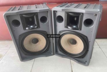 loa RAMSA  WS-A500 bass 30