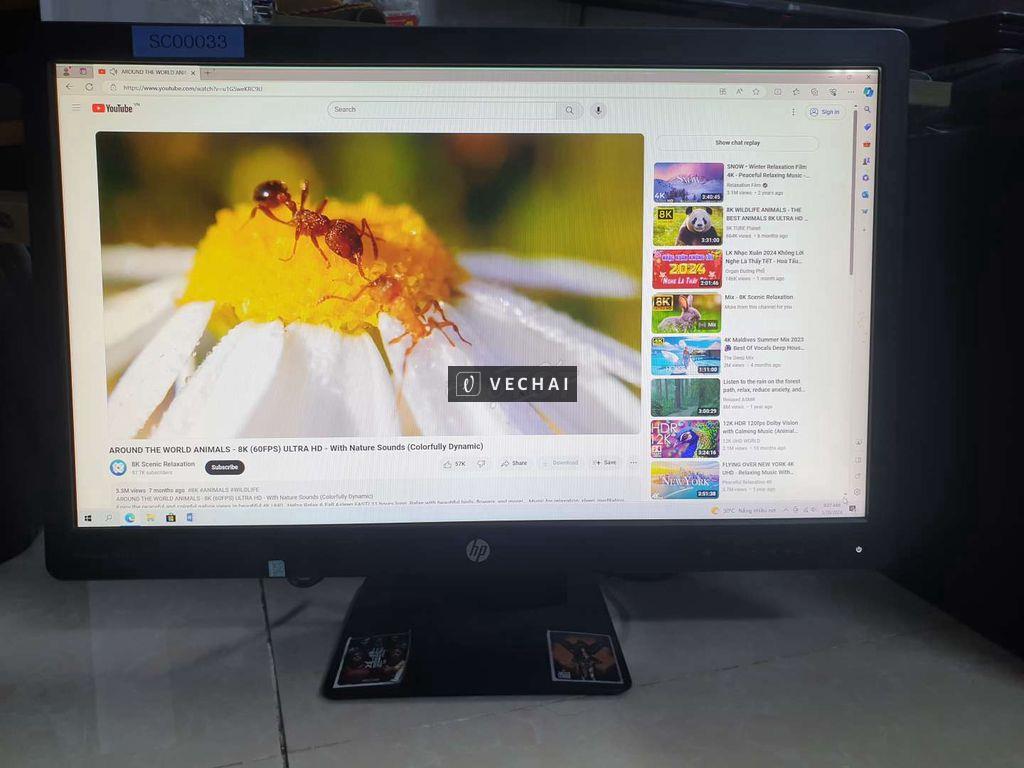 Màn hình 24 inch HP vẫn còn zin