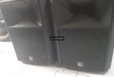 bán cặp loa bãi bass 25