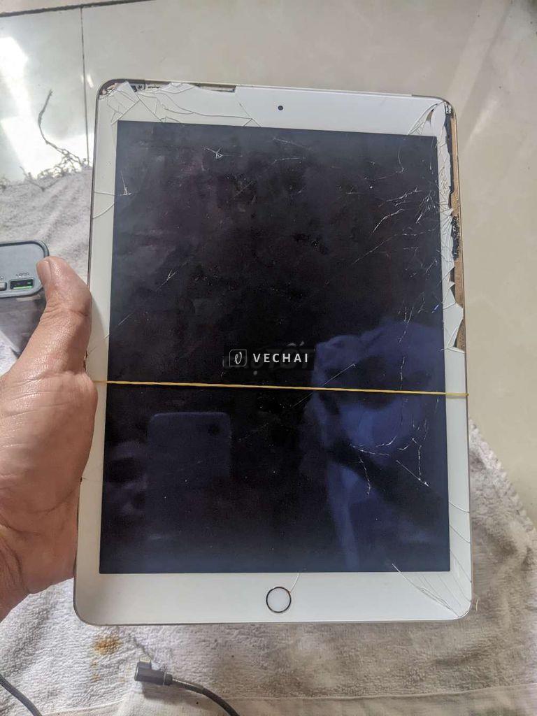 Xác sống Ipad air 2 gold