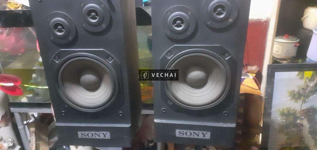 Cặp loa Sony 1bass20 2chép như hình