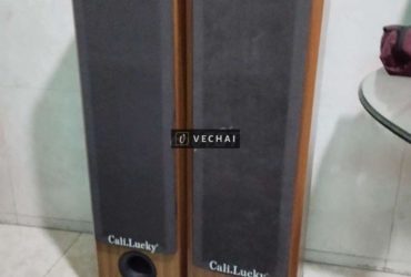 Loa cặp Cali Lucky giá 850k