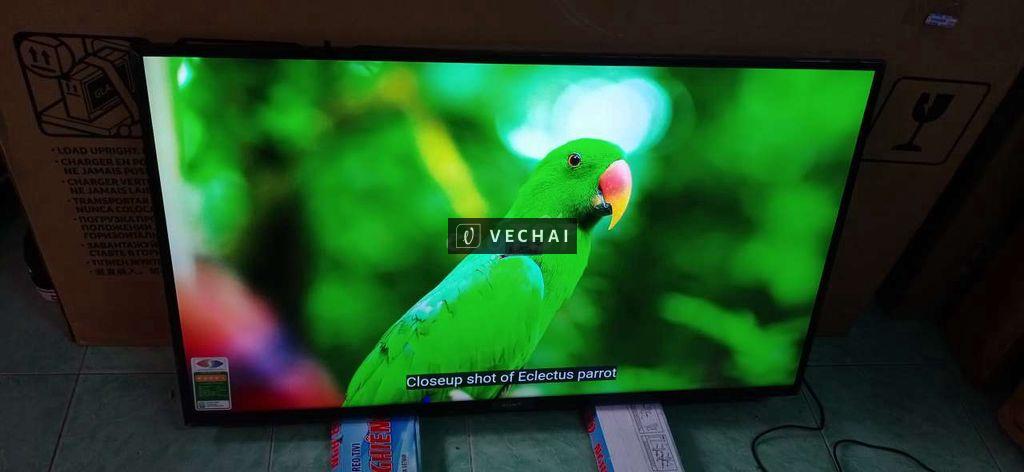 Android Tivi Sony 43inch 4K giọng nói, mẫu 2020