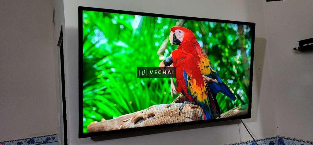 Tivi LG 43in Wifi 4K đẹp tuyệt