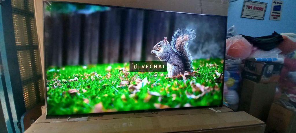 Android Tivi Sony 55inch 4K giọng nói, mẫu 2018