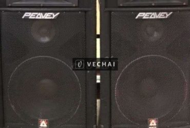 Loa Peavey SP3X