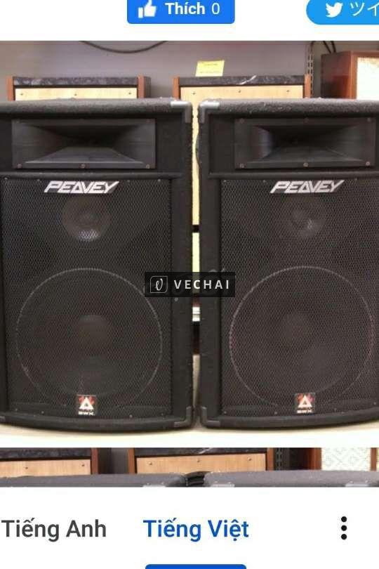 Loa Peavey SP3X