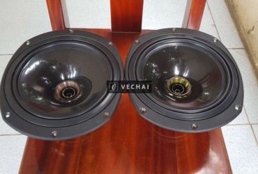 Loa Tannoy ( Anh Quốc )