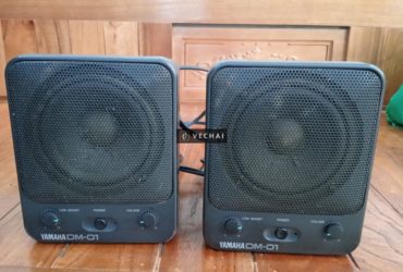 Cặp loa Yamaha DM-01