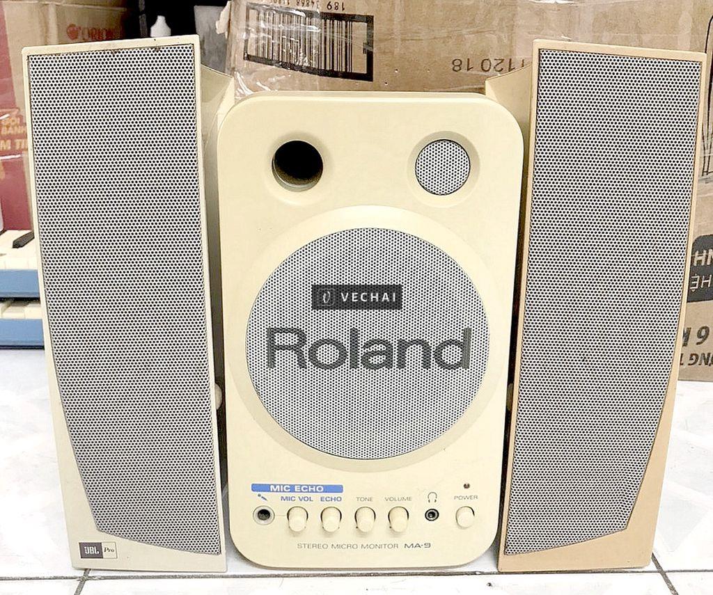 Loa ROLAND MA-9