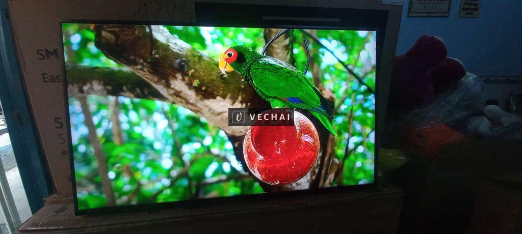 Android Tivi Sony 49inch 4K giọng nói, mẫu 2019