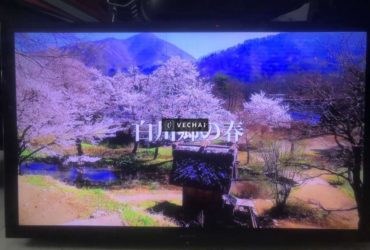 Tivi Sony Led Full HD 43in nhà sử dụng kỹ