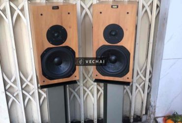 loa chario loudspeaker high Quality loudspeaker