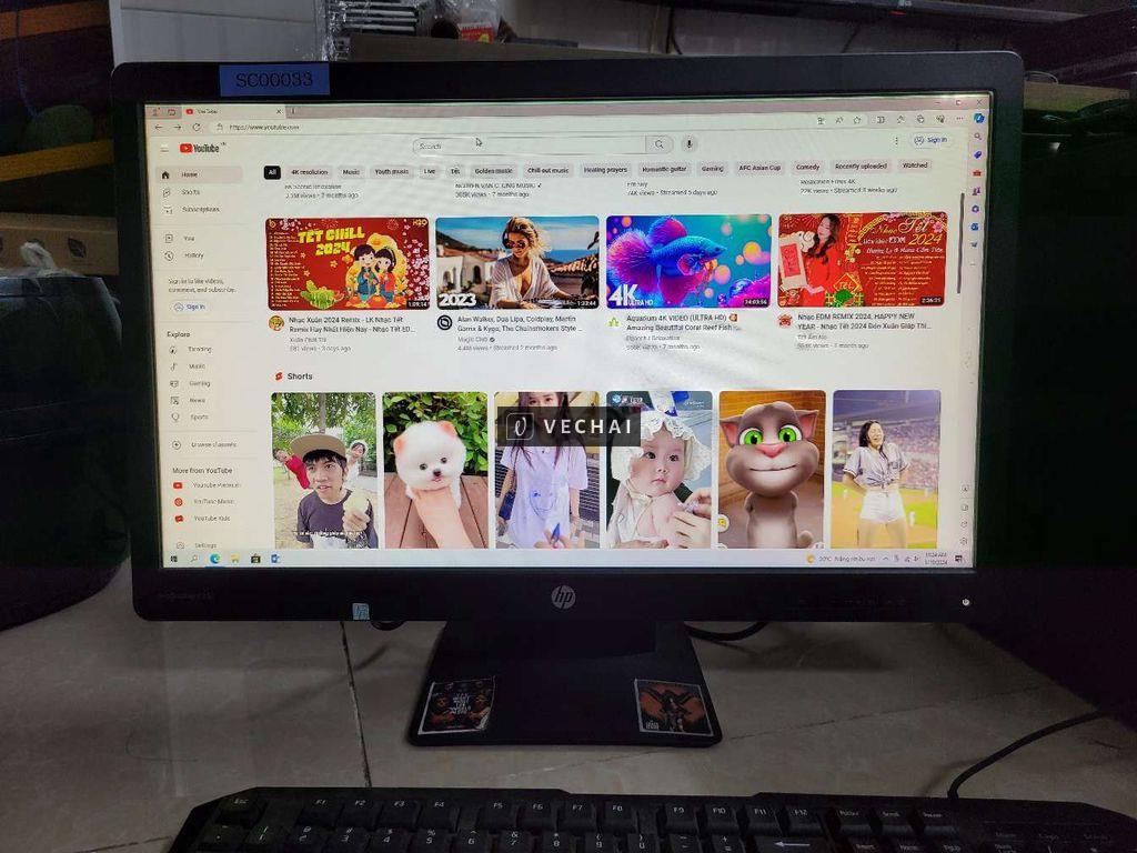 Màn hình 23.5 inch HP ProDisplay P232