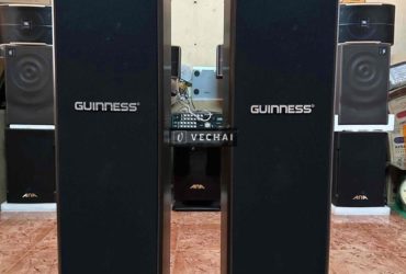 loa cột  guinness ss107 2 bass 25