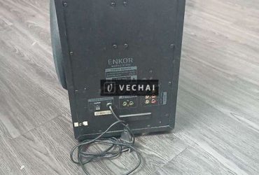 Loa tháp Enkor 80w