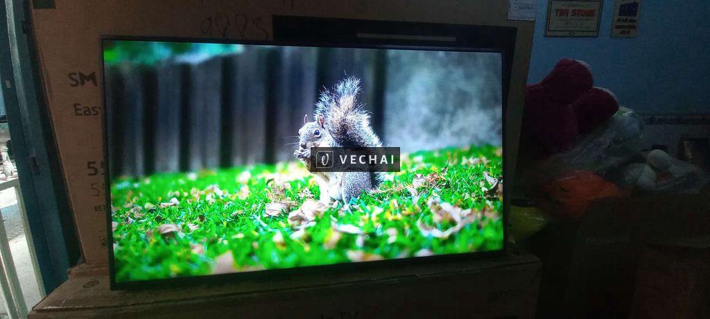 Android Tivi Sony 49inch 4K giọng nói, mẫu 2019