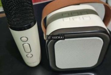 Loa Bluetooth có Micro hát Karaoke.