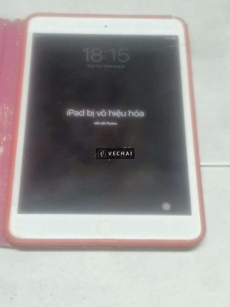 Hai cái ipad bán xác