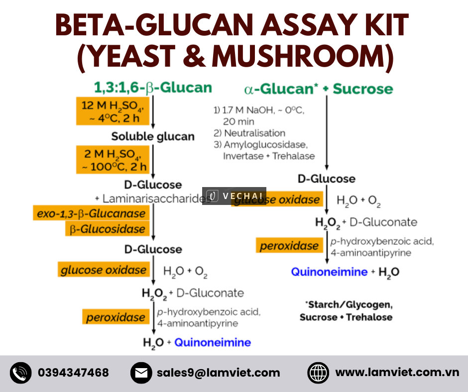 Bộ kit test Beta-Glucan (Yeast & Mushroom)