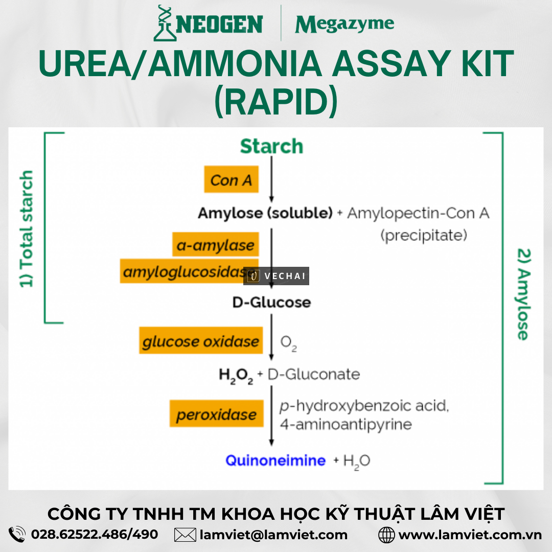 Urea Ammonia Assay Kit (Rapid)