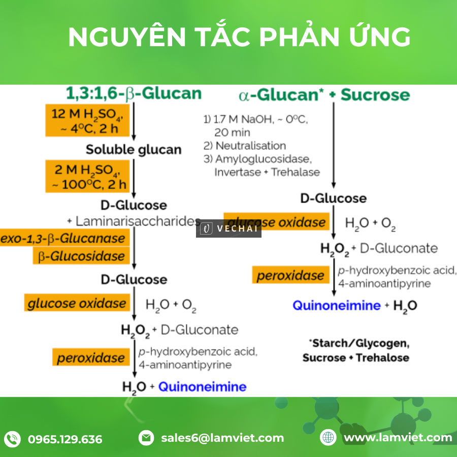 Β-Glucan Assay Kit (Yeast And Mushroom) – Megazyme