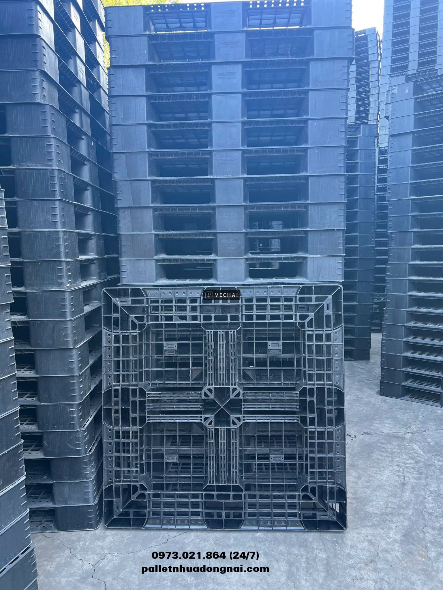 Pallet nhựa giá rẻ tại Cần Thơ, liên hệ 0973021864 (24/7)