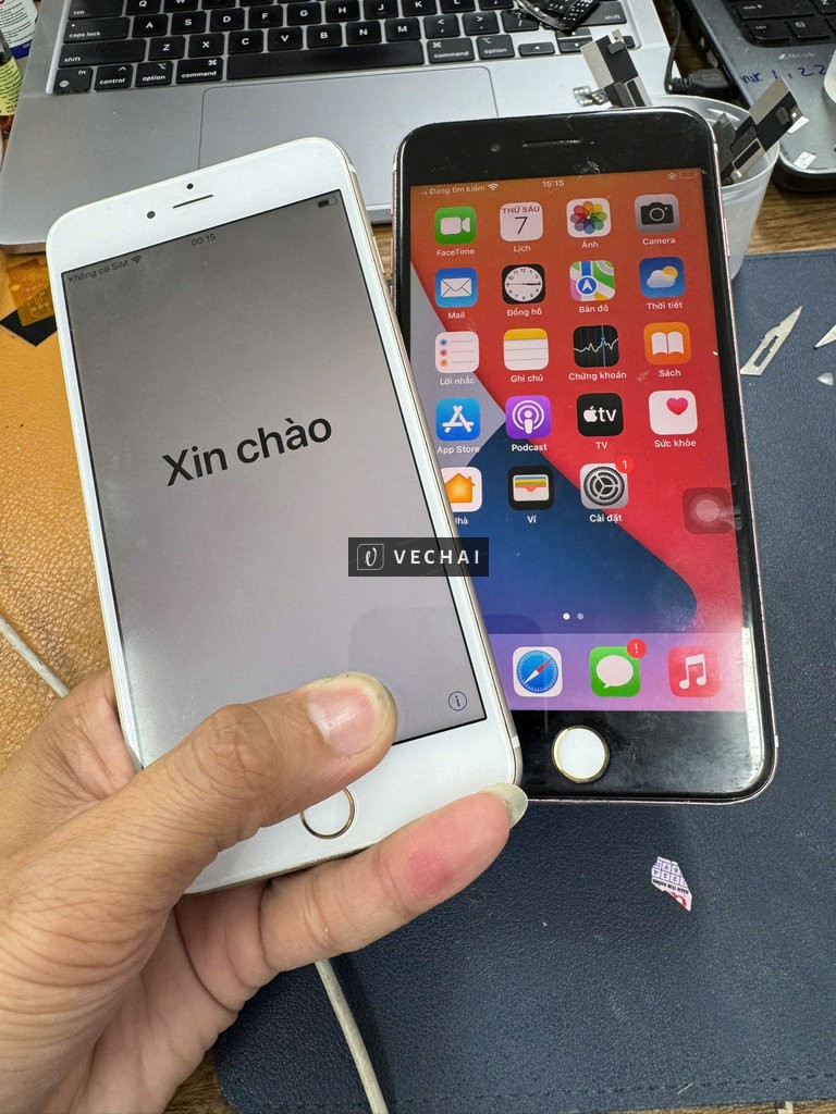 Bán cặp xác 6sp/7p