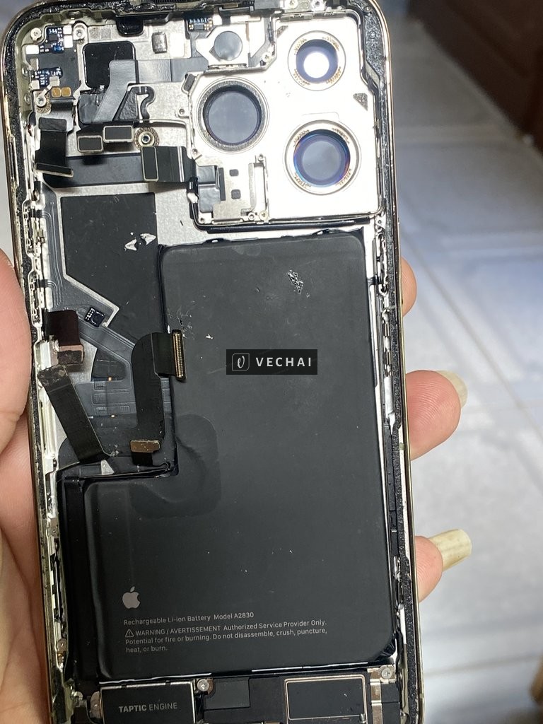 Bán áo 14prm 4g gold