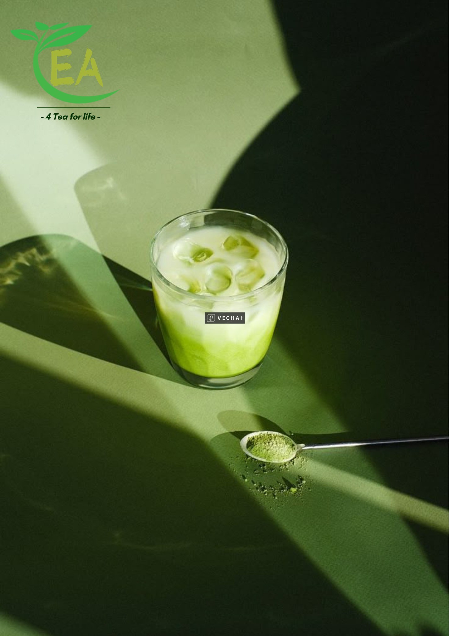 Matcha Latte – Tươi Mát Hương Vị