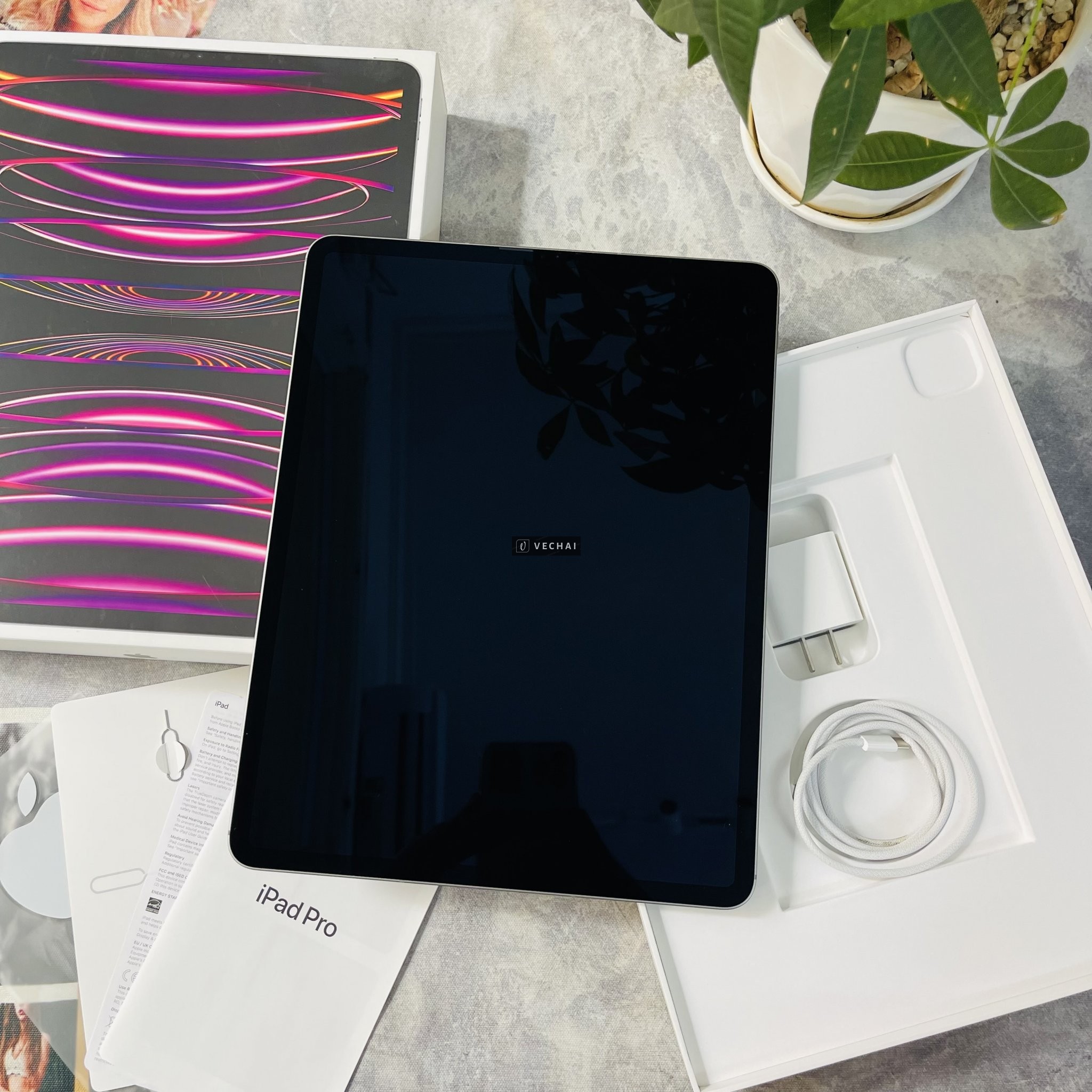 iPad Pro M2 256G 5G 12.9