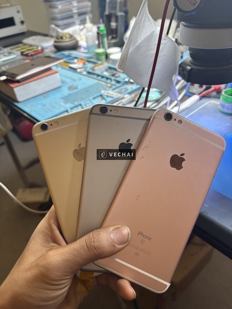 Bán 3 cây 6sp 999k